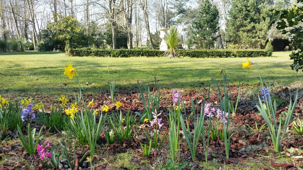 Manoir De La Marjolaine Bed & Breakfast Cabourg Luaran gambar